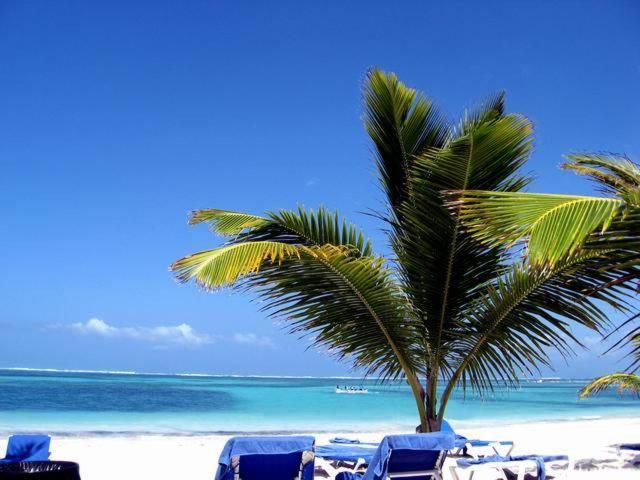فندق Larimar Beach بونتا كانا المظهر الخارجي الصورة